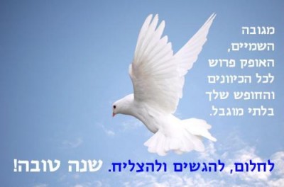 שנה 5776.jpg