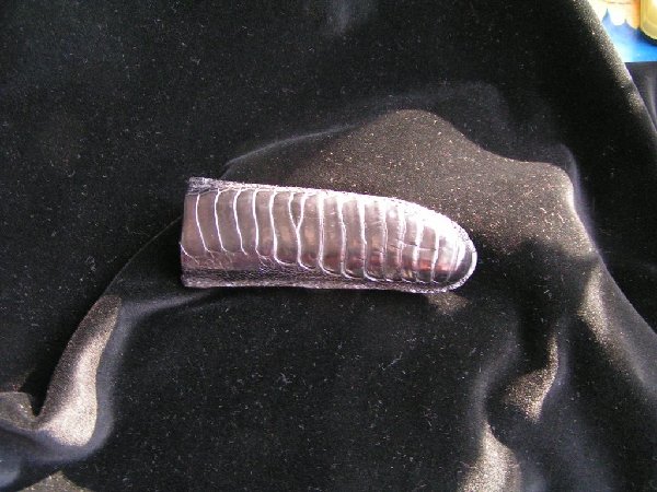 PICT0161.JPG