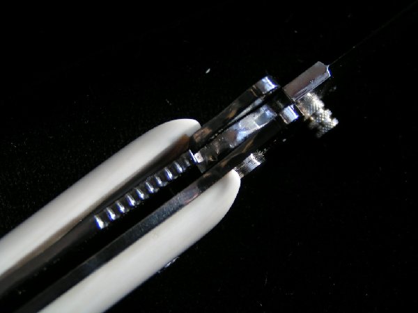 PICT0145.JPG