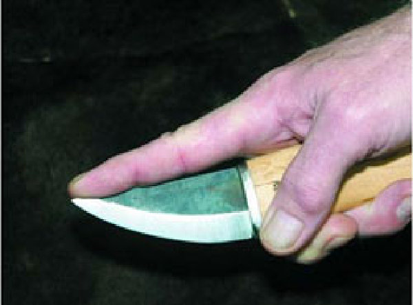розелли.jpg