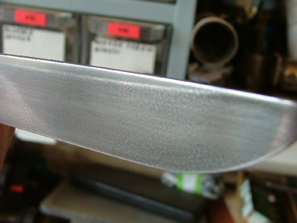 DSCF5646.JPG