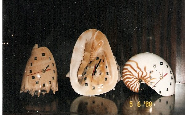 сканирование0005.jpg